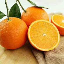 湖北秭归伦晚脐橙高品质新鲜帝王橙现摘大果9斤彩箱当季水果橙子