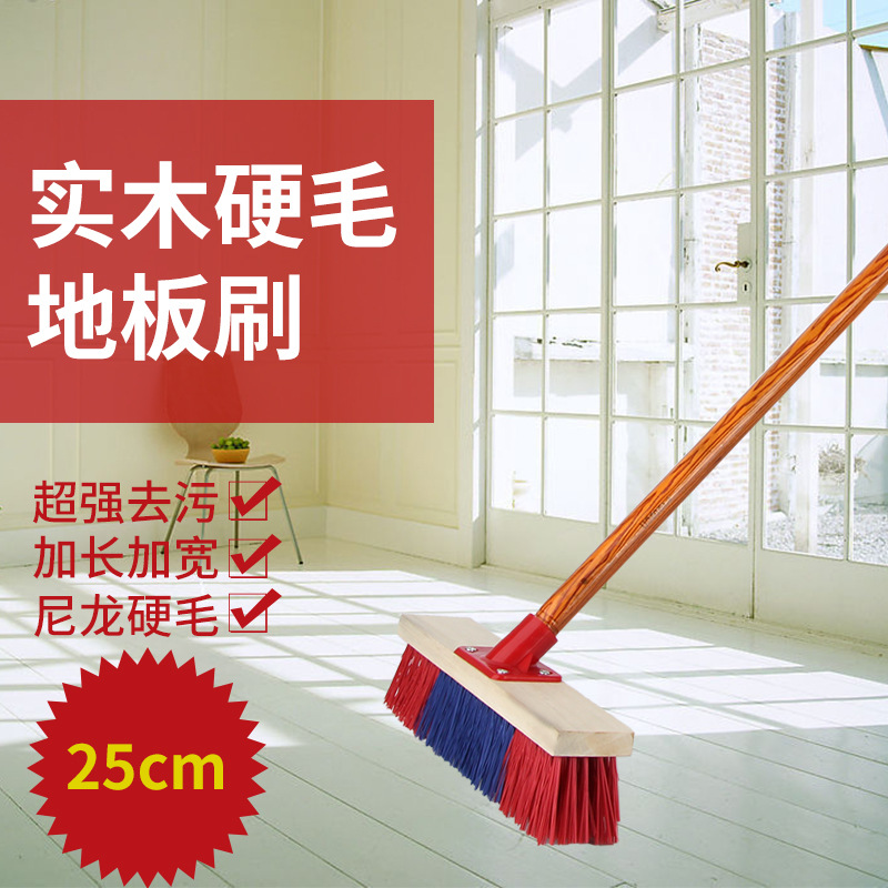 （25cm）