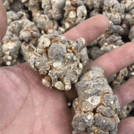 其他药食同源;参类滋补品;脱水蔬菜