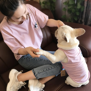 �ļ��������|�������b�����H���b�l�y����̩��С��Ȯ؈��һ�����l
