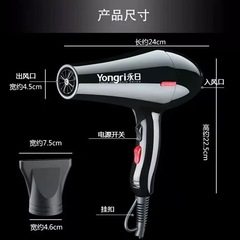 Yongri Hair Dryer Silent High Power Hair Dryer Hair Salon Household Hair Dryer Student Dormitory Hot and Cold Air