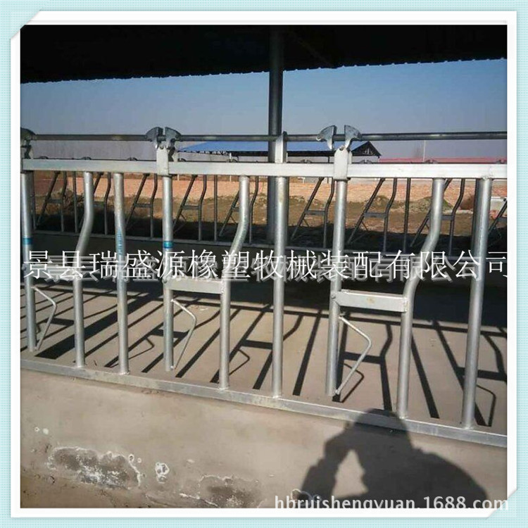 养殖设备配件牛颈枷配件 自锁式牛颈枷 挤奶机厂家供应