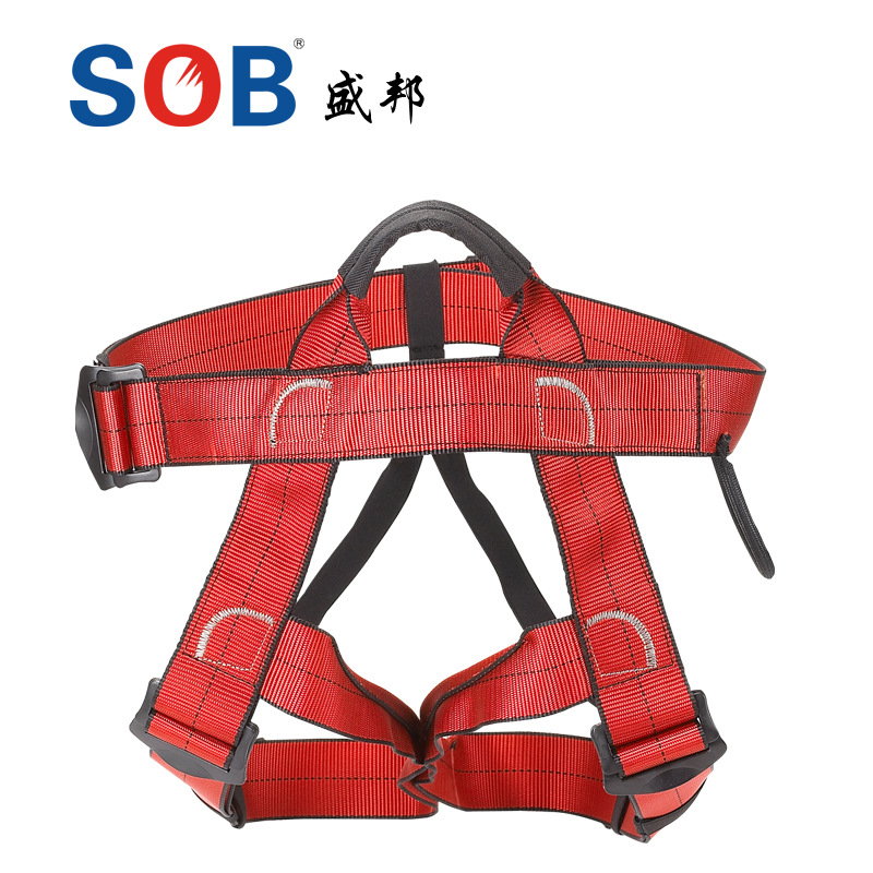 盛邦团队安全带RC29 001/00N1户外高空拯救安全儿童安全带