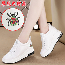 2025春夏秋女鞋新款潮坡跟厚底内增高休闲运动单鞋小白鞋一件代发