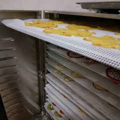 烘乾機硅膠墊水果脫水墊乾燥墊耐溫硅膠墊肉鋪乾燥墊風乾機果茶墊