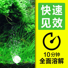 二氧化碳片爆藻鱼缸水草二氧化碳发生器co2发生器水族用品