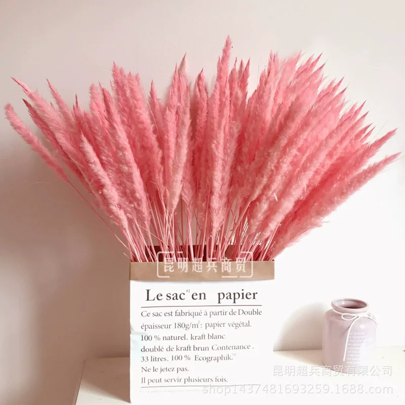 【Сушёные цветы Маленькие тростник】 InSS Pink Reed Маленькие тростники сушёные цветы для домашнего декора Пувэй Фан Пас Цао
