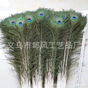 �F؛��ȸë90-100cm��ȸë���ȸβ�廨�Ҿ��b���ë
