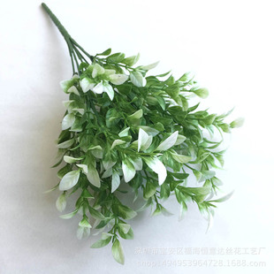 ���l����ֲ��7�洺������  �辰�@ˇ�������廨���b�