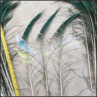 �S���N�� ��ȸ߅���ȸ�����ȸ���� ȫϵ�ߴ�F؛ ���Hվ���N�b