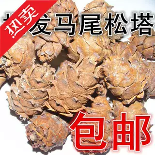 大兴安岭野原味松壳生马尾松树塔偃松塔生松子小塔干坚果鼠粮零食