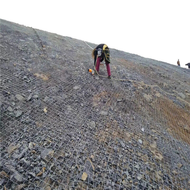 勾花网厂家喷浆加固绿化铁丝网 山坡绿化喷播种植草菱形机编网