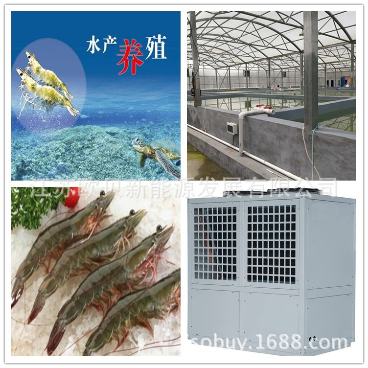 2淡水养殖空气能热泵 水产养殖专用加热泵 养殖水池循环加温设备