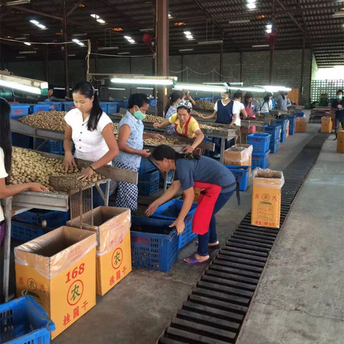 Direct supply from origin, Fujian dried longan with no seeds, longan meat, dried longan fruit, wholesale 500g