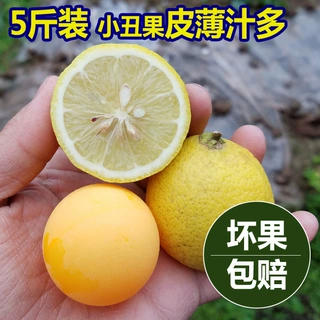 批发正宗安岳新鲜黄柠檬小二三级果茶饮推荐皮薄汁多榨汁不苦