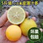 安岳新鲜正宗榨汁茶饮