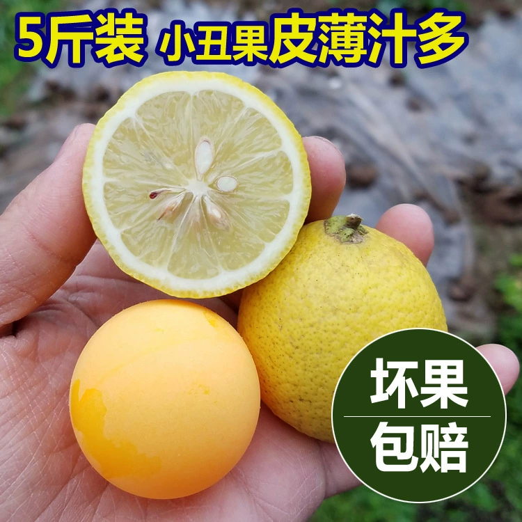 Оптовые поставки свежих желтых лимонов An Yue, фрукты третьей сортировки, 0.5kg (около 6-10 штук), сорт Eureka 2.5kg по минимальной цене.