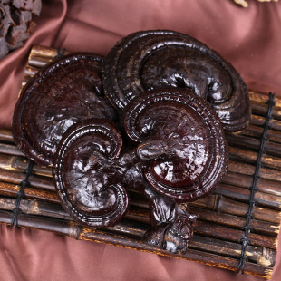 �r���Բ����`֥500g�L��ɽ�`֥�|�����`֥���l