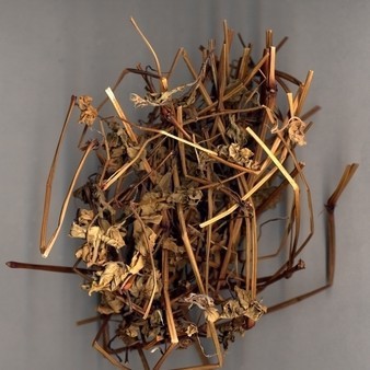 供应  老鹤草 大货批发零 支持验货辛味