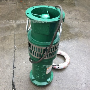 QY����ʽ��ˮ�� QS40-16-3����ˮ��