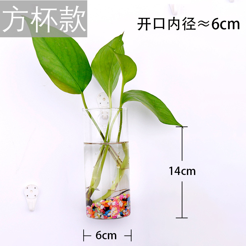 Jarrón colgante de vidrio transparente hogar creativo colgante de pared tanque de peces colgante arreglo floral rábano verde florero de plantas acuáticas