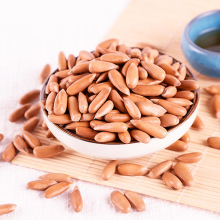 散装巴西松子500g大颗粒独立小包装新炒手剥坚盐焗香酥