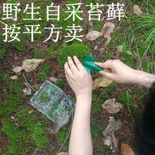 ����ͥԺ�@���쾰ֲ��  ��������b���̦  ΢���^���Bƿ̦�\���l