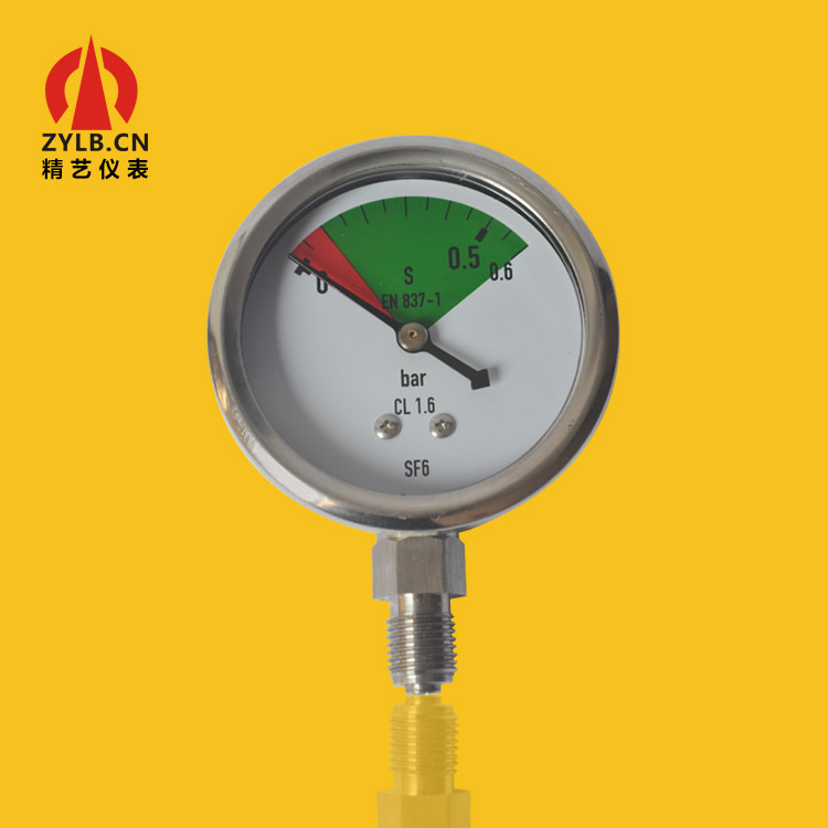 供应石化设备专用压力表不锈钢压力表SF6 YB60 0.6bar工厂直销