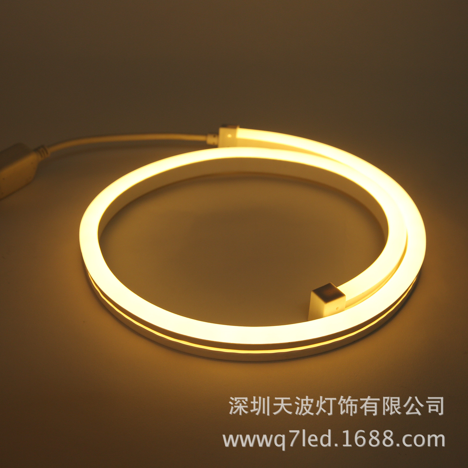 공장 공급 220V 통합 IP67 RGB 네온 튜브 고압 PVC 네온 스트립 11X19 스트립 도매