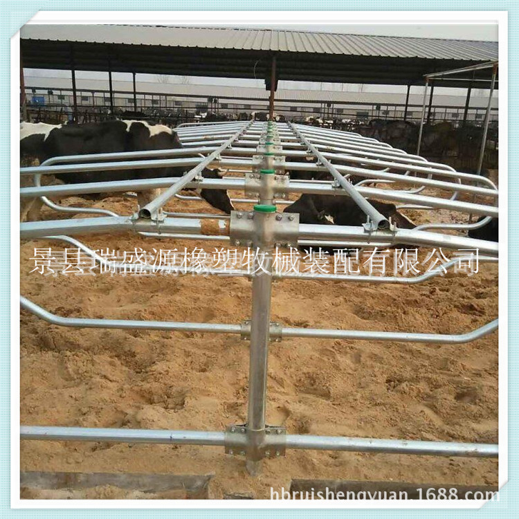 河北畜牧养殖设备配件 牛卧床 牛场用单双面牛卧栏卧床