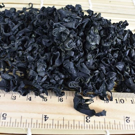 水产干货类;鱼胶/花胶;海参