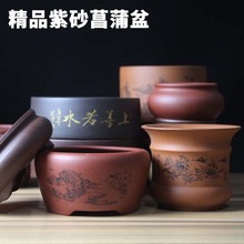 宜兴紫砂盆小花盆 金钱菖蒲 办公室盆栽 多肉花盆微型盆