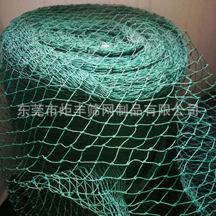 ���a��������  �B�u�Bֳ �������W �����W �Bֳ�����W