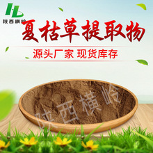 夏枯草提取物 30:1 50:1 100:1规格 夏枯草皂甙 水溶夏枯草浓缩粉