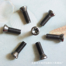 �Ұ�ɫM4ϵ�� 12.9�����ص������ T15܇���U����÷���ݽz