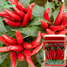 ���r�N�I-��һ���Ї��t�����N�� �t���� �ɽ���һ�����콷�N��