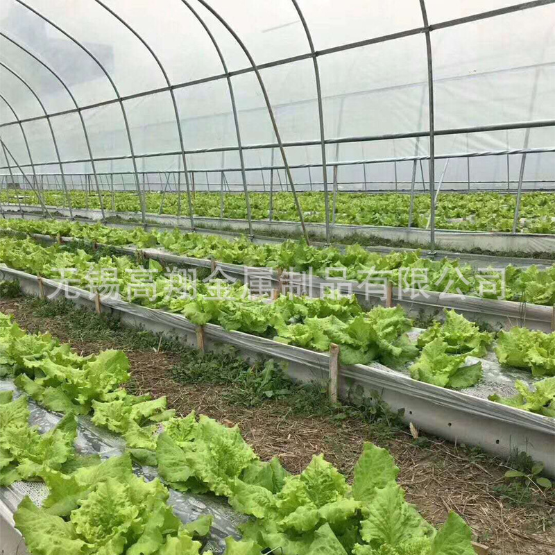 蔬菜大棚   温室连体养殖大棚 蔬菜大棚造价预算