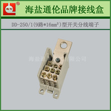 DD-250/1  9·ʹ ӋӾ }S _P־