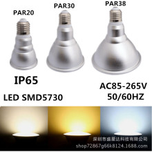 PAR38/PAR30/PAR20 5W/12W/15W/18W/24W射灯 IP65防水高亮帕灯