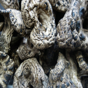 �ڻ��ƾ� 3.0CM���� �����Y�| �ܶ��� �������؛ ʳ�þ����l