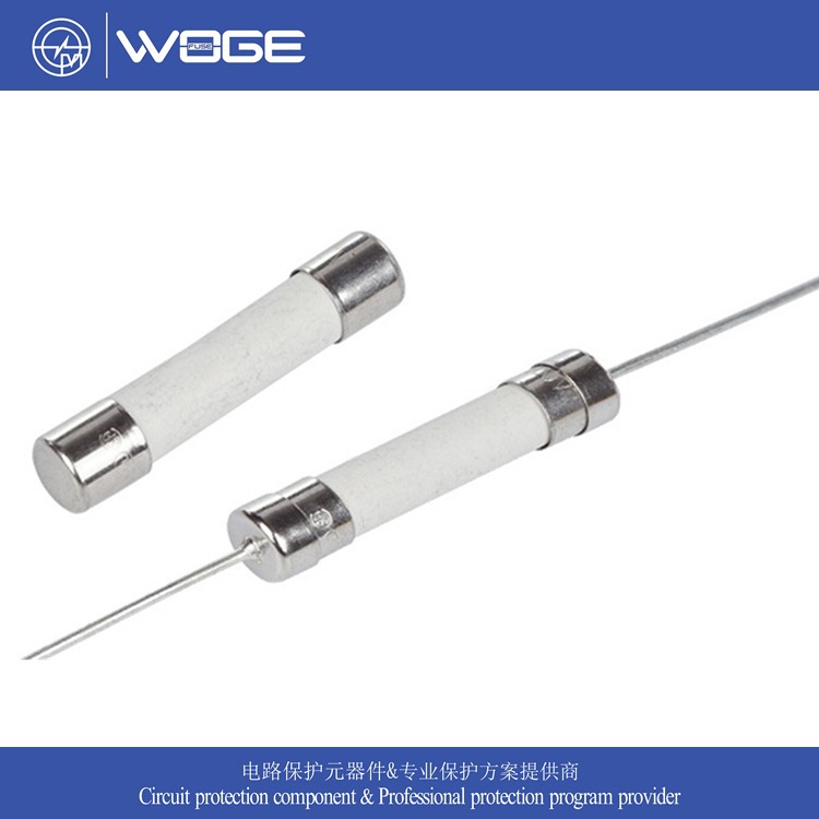 厂家直销 陶瓷保险丝 6*30 管状保险丝 25A 250V 陶瓷慢断保险丝