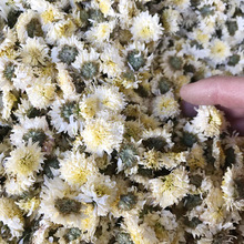 基地 黄山贡菊 菊花茶 白菊花 黄山贡菊菊花茶散装批发 量大价优