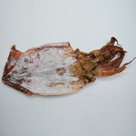 水产干货批发鱿鱼干海鲜海产干鱿鱼500g海味干批发