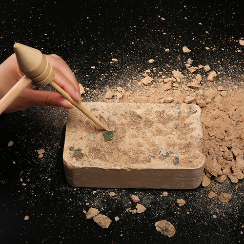 Paleontological fossils, archaeological excavation, raw stones ores, crystal stones, geological popular science, children's teaching specimen gifts