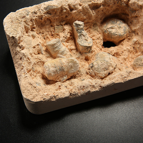 Paleontological fossils, archaeological excavation, raw stones ores, crystal stones, geological popular science, children's teaching specimen gifts