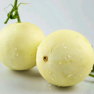 2026�Fժ���С������۹����һ�����l�ɴ����۴��ˮ��������