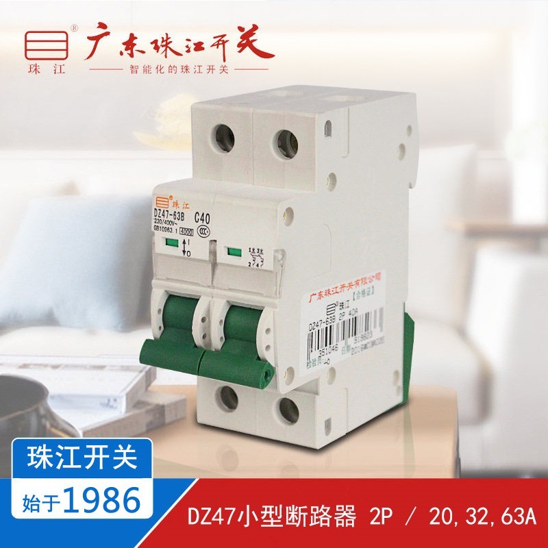 广东珠江开关 小型断路器家用C型空气开关 两极DZ47 2P 20/32/63A
