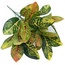 �F؛ �ָ�С7�^׃ɫľ  �ߙn����ֲ������ɫ׃ɫ�~�Ӱ����b�