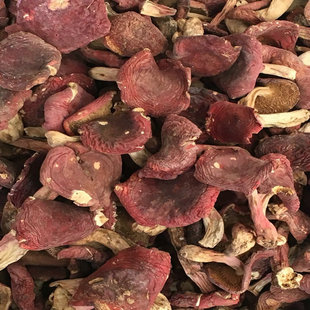 �t�� �tĢ�� ��ϸ�ɽ�t �a��ֱ�� ʳ�þ����l �й�����خaһ��