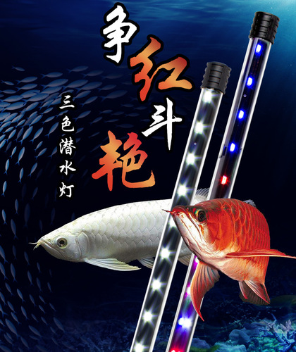 T4 fluorescent diving light fish tank light landscaping lighting LED aquarium 5630 lamp beads B style fish tank light waterproof light dragon fish